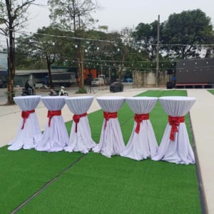 thue ban ghe Cocktail 1