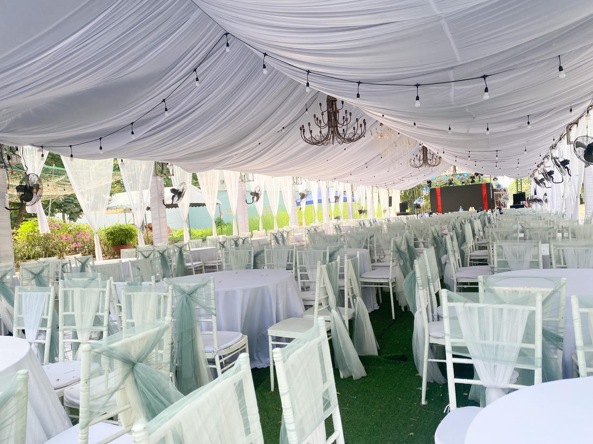 Thuê bàn ghế Tiffany